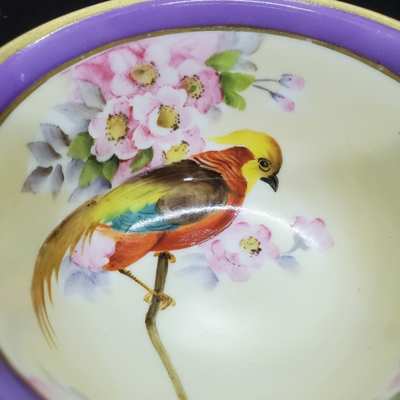Handpainted Noritake Teacup and Saucer Stunning Unique Gorgeous 😍 - Picture 7 of 10